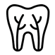 a9e642f9-root-canals_1000000000000000000028