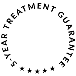 5 Year Treatment icon